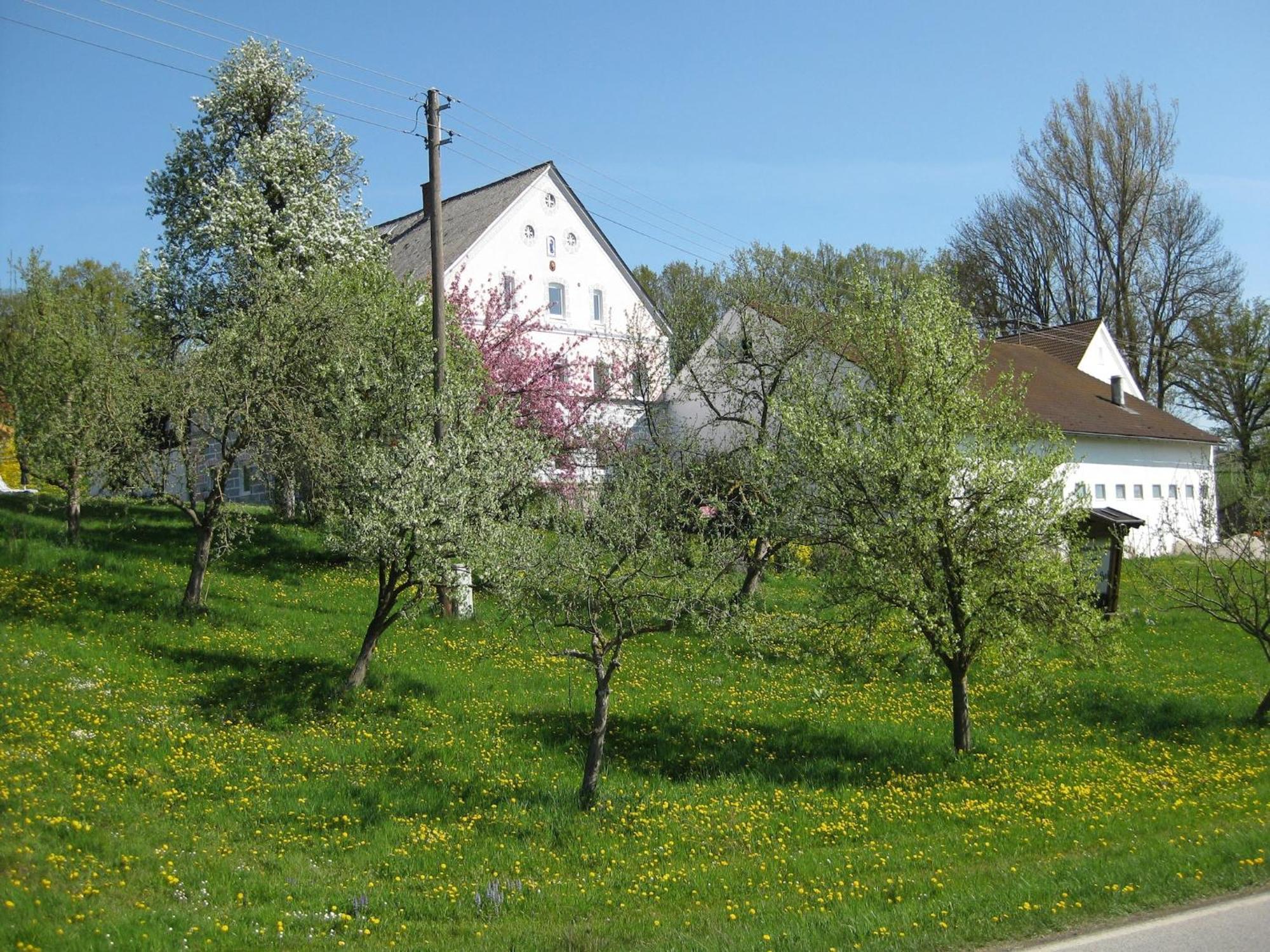Comfortable Apartments In Rotthalm Nster Rotthalmuenster 외부 사진