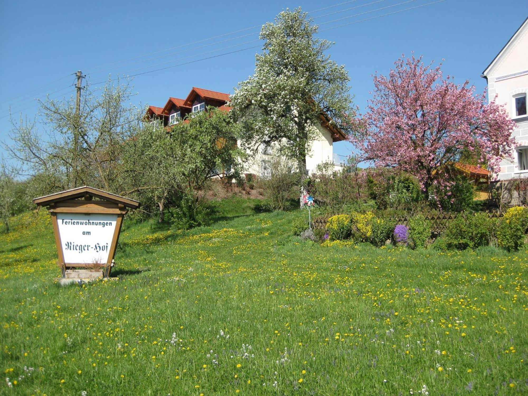 Comfortable Apartments In Rotthalm Nster Rotthalmuenster 외부 사진