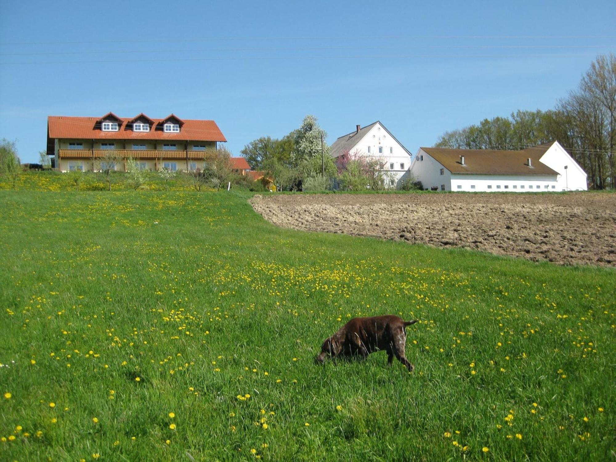 Comfortable Apartments In Rotthalm Nster Rotthalmuenster 외부 사진